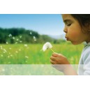 Allergies