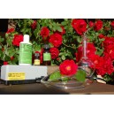 KIT Respiratoire